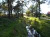 dscn0185_small.jpg