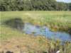 dscn0190_small.jpg