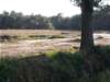 dscn0191_small.jpg
