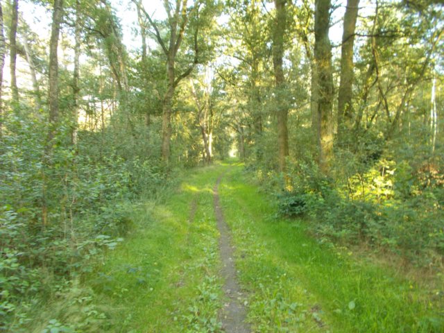 dscn0192.jpg