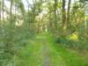 dscn0192_small.jpg