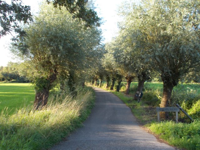 dscn0195.jpg