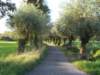 dscn0195_small.jpg