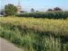 dscn0196_small.jpg