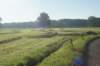 dsc01699_small.jpg