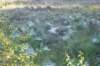dsc01702_small.jpg
