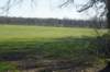 dsc09572_small.jpg