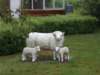 dscn0016_small.jpg