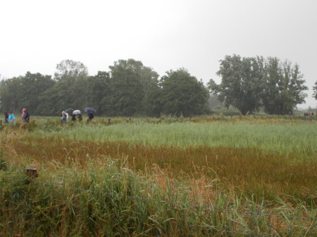dscn0020.jpg