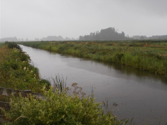 dscn0021.jpg