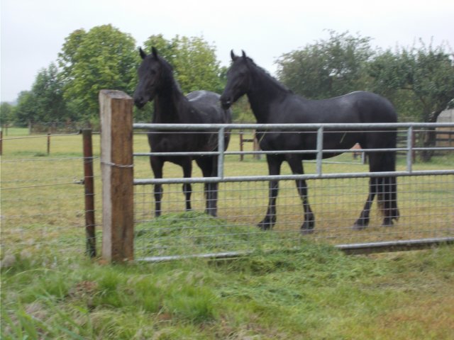 dscn0025.jpg