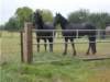dscn0025_small.jpg