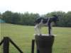 dscn0026_small.jpg