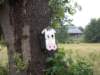 dscn0028_small.jpg