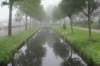 dsc01554_small.jpg