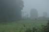 dsc01555_small.jpg
