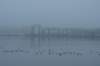 dsc01566_small.jpg