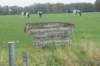 dsc02677_small.jpg