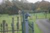 dsc02678_small.jpg