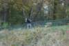 dsc02684_small.jpg
