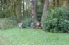 dsc02686_small.jpg
