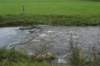 dsc02687_small.jpg