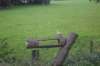 dsc02691_small.jpg