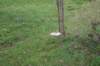 dsc02692_small.jpg