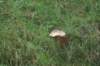 dsc02694_small.jpg