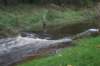 dsc02695_small.jpg
