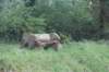 dsc02696_small.jpg