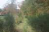 dsc02701_small.jpg