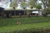 dsc02705_small.jpg