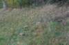 dsc02708_small.jpg