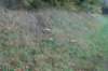 dsc02709_small.jpg