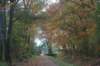 dsc02712_small.jpg