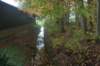 dsc02713_small.jpg