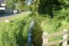 dsc01740_small.jpg