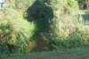 dsc01742_small.jpg