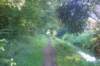 dsc01750_small.jpg
