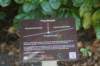dsc01755_small.jpg