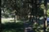 dsc01758_small.jpg