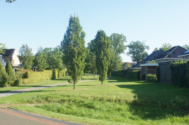 dsc01764.jpg