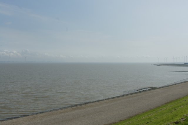 dsc00248.jpg
