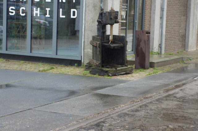 dsc09784.jpg