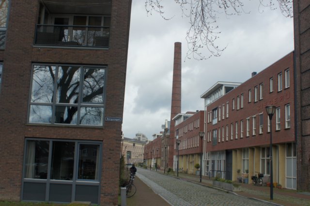dsc09806.jpg