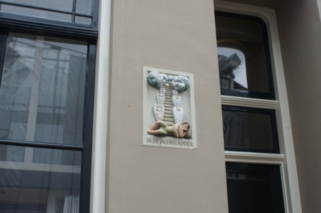 dsc09824.jpg