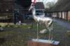 dsc09246_small.jpg