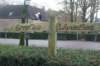 dsc09251_small.jpg