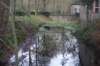 dsc09255_small.jpg